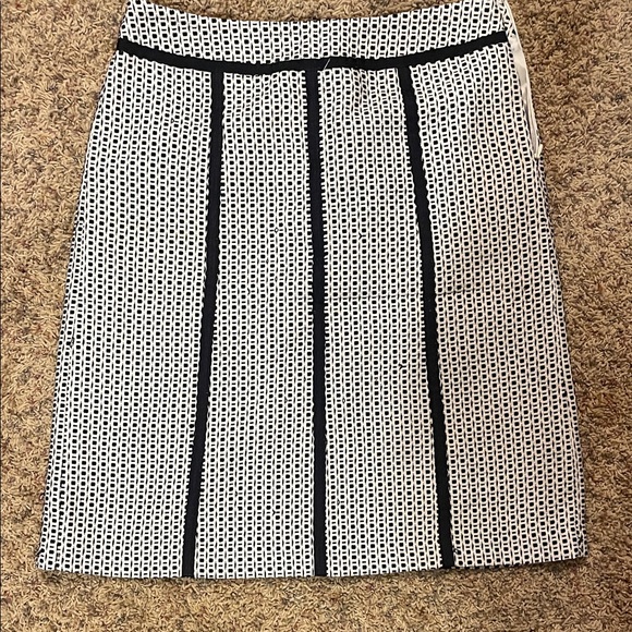 Chic Black and White A-Line Skirt - Picture 1 of 4